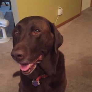 Meet your Posher, Eric